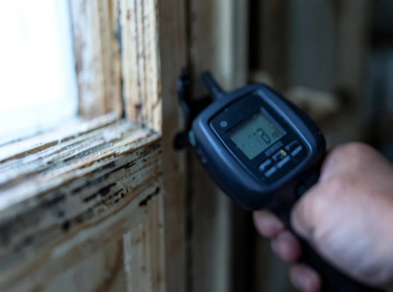Moisture Inspection And Documentation in Sagamore Beach, MA